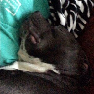 Meet your Posher, Joanna